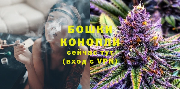 ПСИЛОЦИБИНОВЫЕ ГРИБЫ Осташков