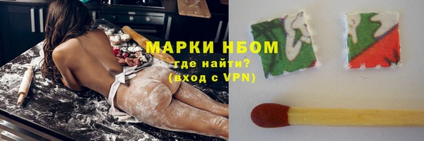 стафф Осинники