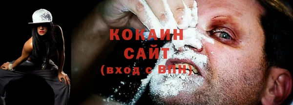 стафф Осинники