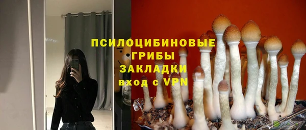 стафф Осинники