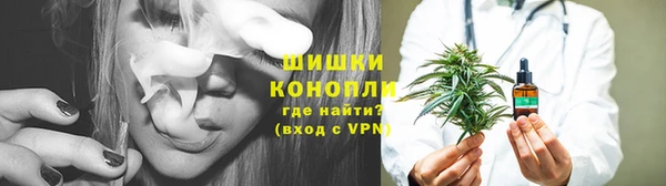 стафф Осинники