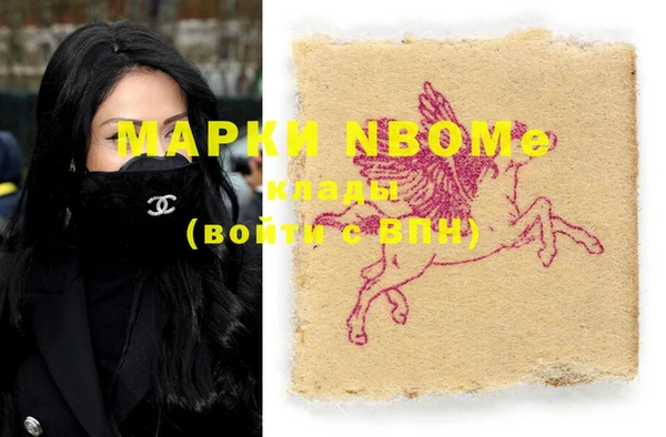 стафф Осинники