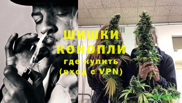 ПСИЛОЦИБИНОВЫЕ ГРИБЫ Осташков