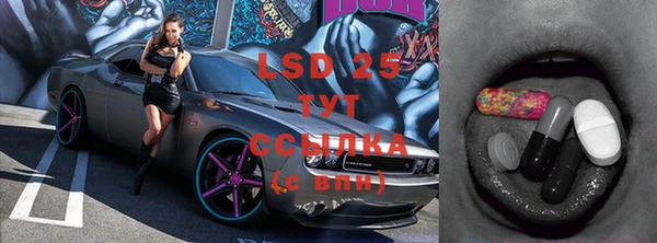 стафф Осинники